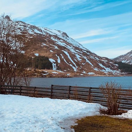 Lofoten, Rolvsfjord Valberg Exterior foto