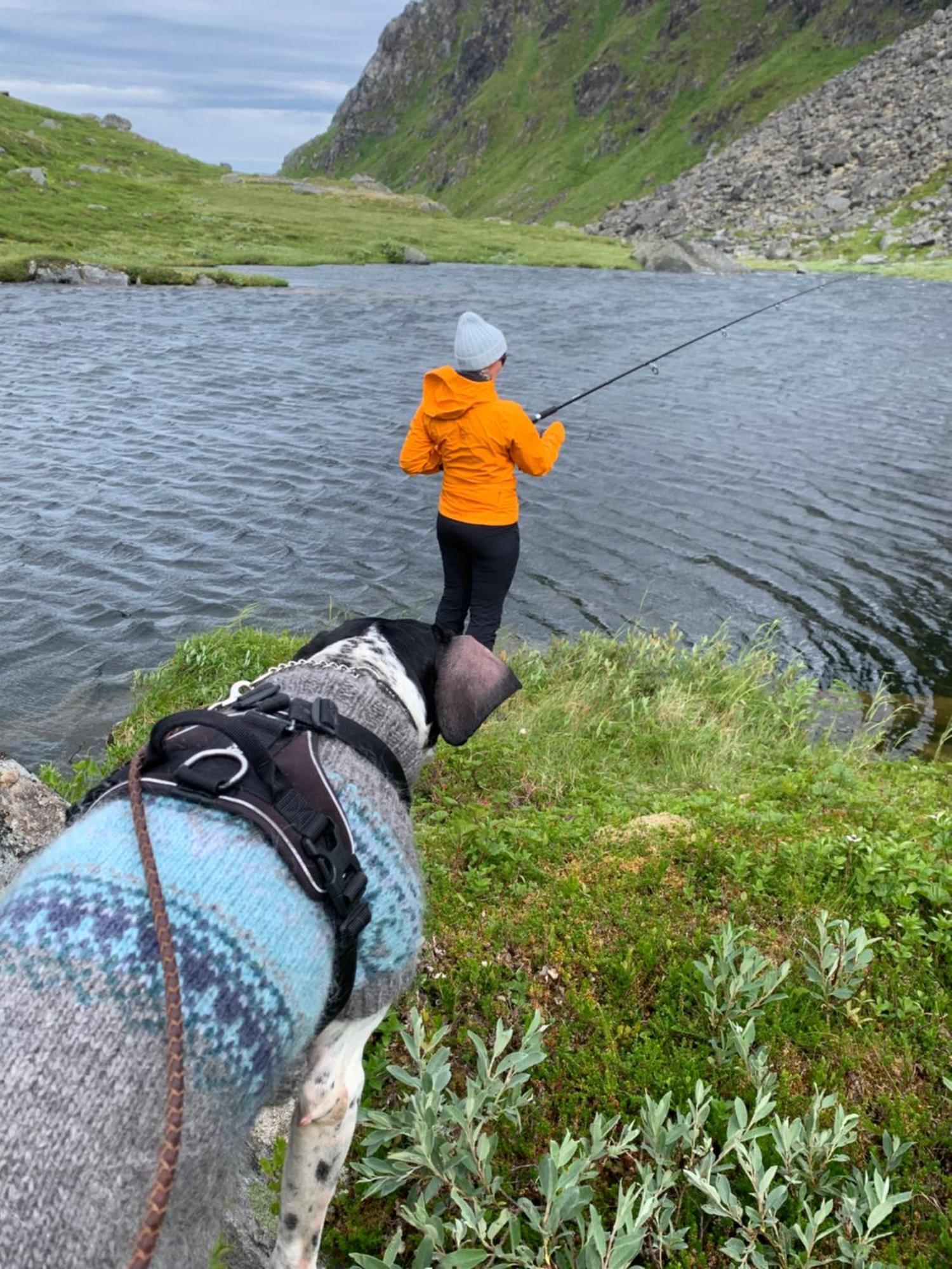 Lofoten, Rolvsfjord Valberg Exterior foto