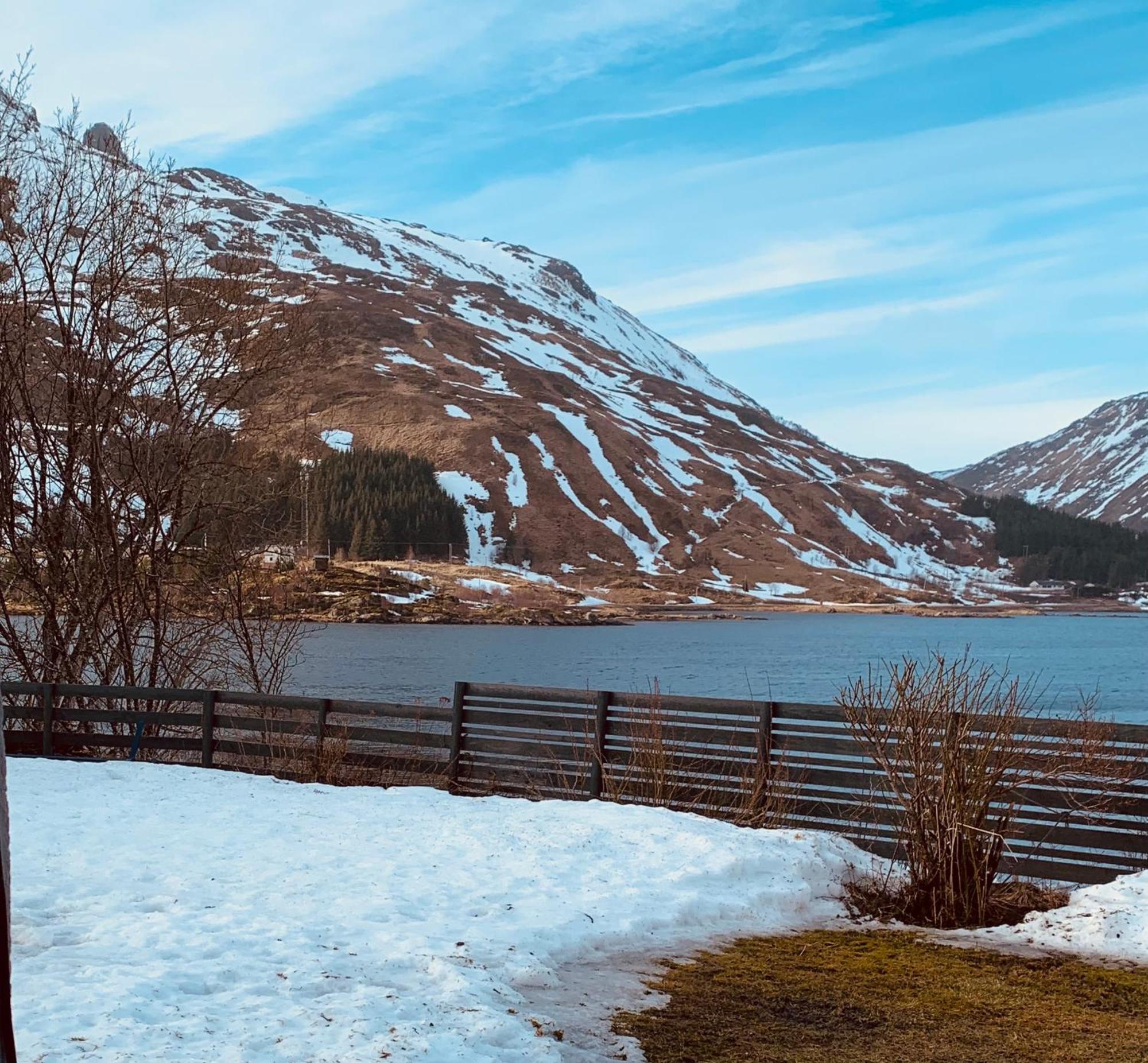 Lofoten, Rolvsfjord Valberg Exterior foto