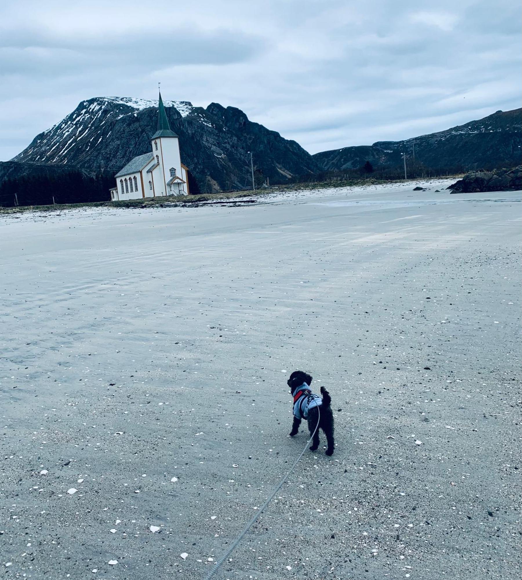 Lofoten, Rolvsfjord Valberg Exterior foto